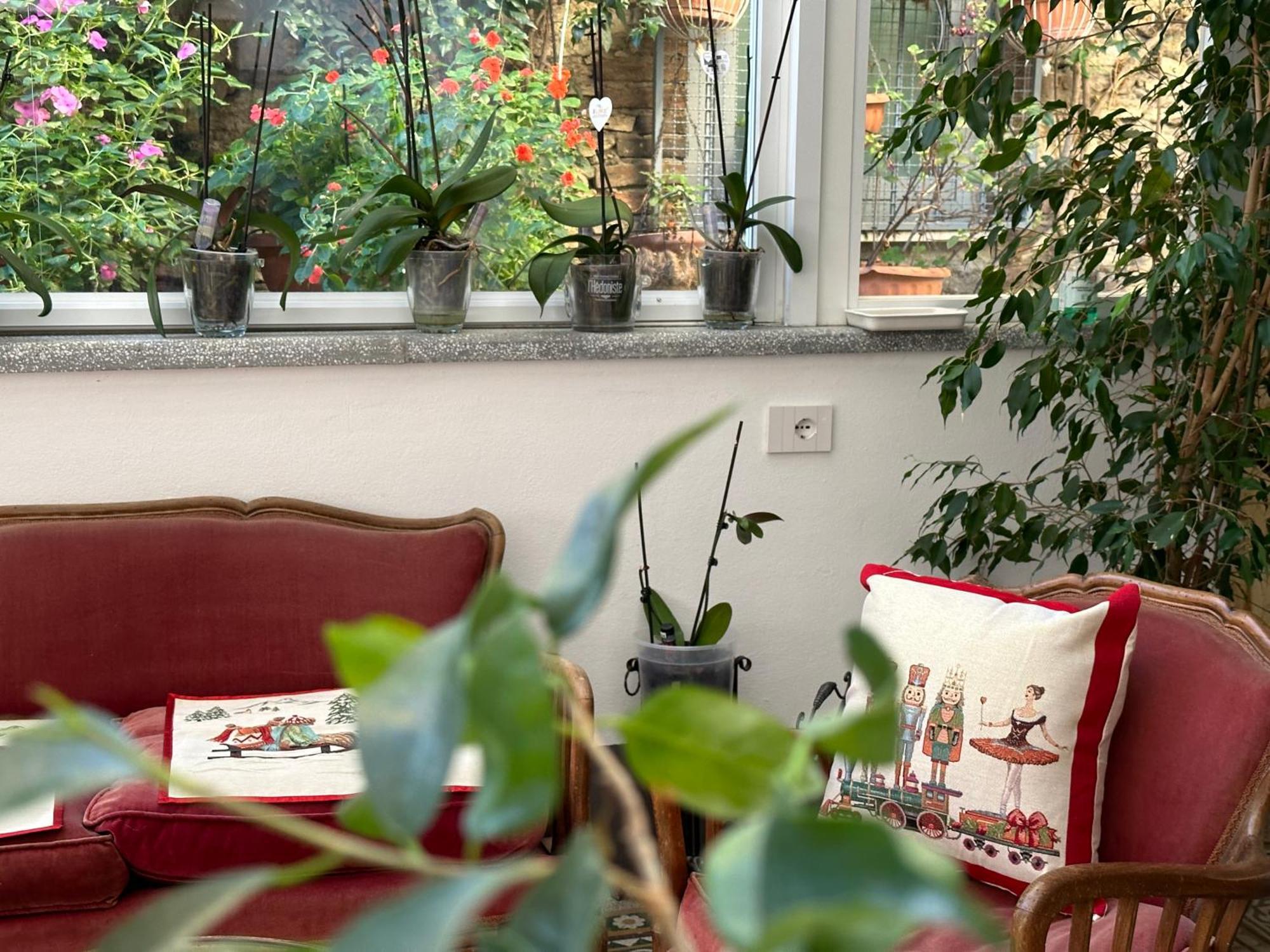 Domus Socolatae Residenza D'Epoca Charming B&B - Adults Only Follonica Exterior photo